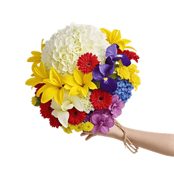 Ivory Blossom Radiance