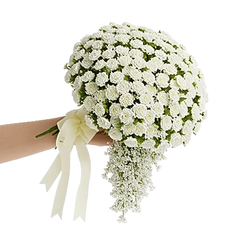 Delicate Petal Cascade