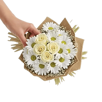 Ivory Garden Grace