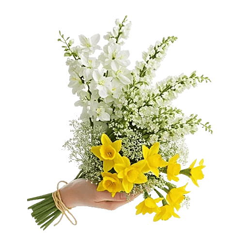 Ivory Blossom Radiance