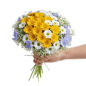 Golden Petal Harmony