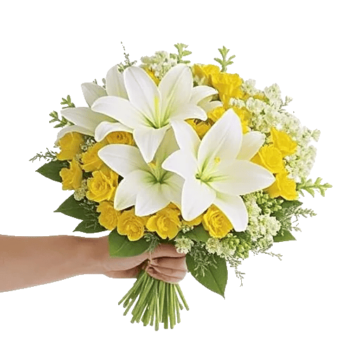 Blossom Harmony Display