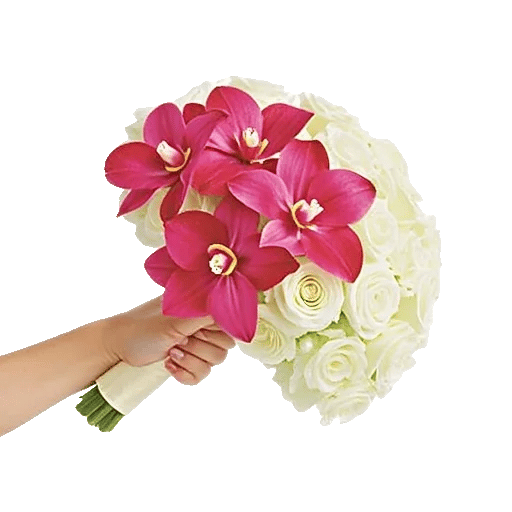 Orchid Petal Glow
