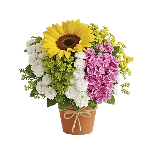 Amber Sunflower Glow