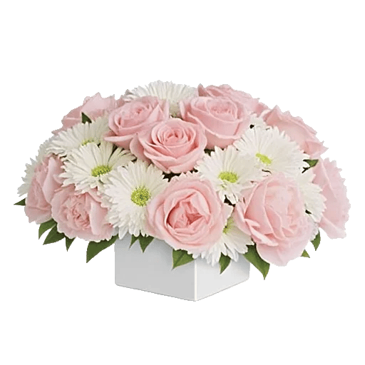 Delicate Petal Cascade