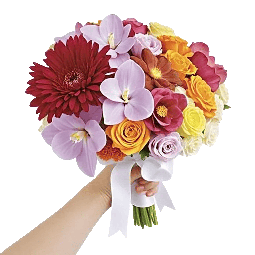 Radiant Bloom Cascade