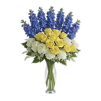 Ivory Blossom Radiance