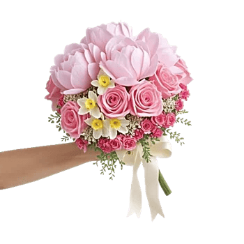 Peony Petal Harmony