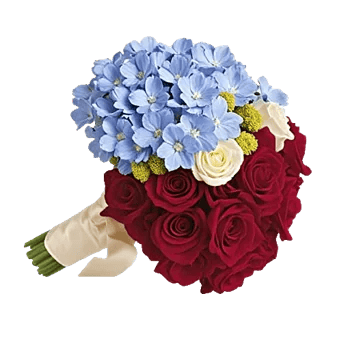 Blossom Petal Serenity