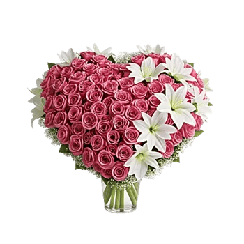 Blushing Rose Symphony