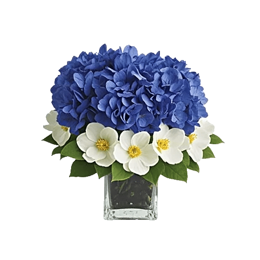 Sapphire Bloom Whisper