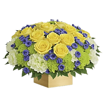 Ivory Blossom Radiance