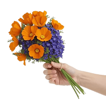 Petal Harmony Bliss