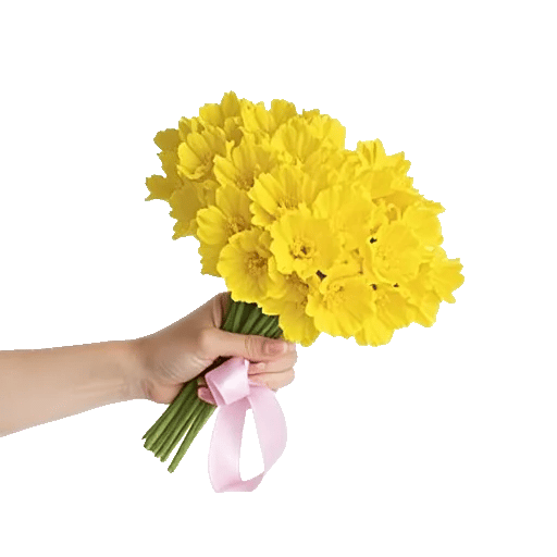 Blossom Harmony Display