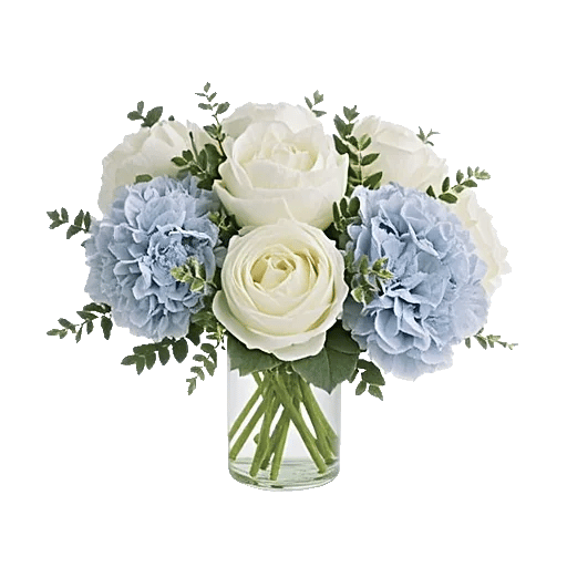 Blooming Serenity Display