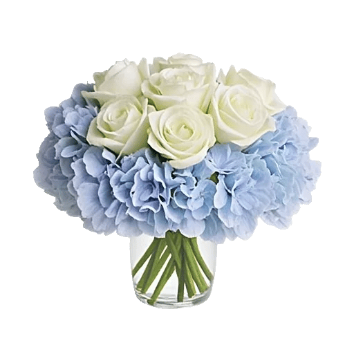 Ivory Blossom Radiance