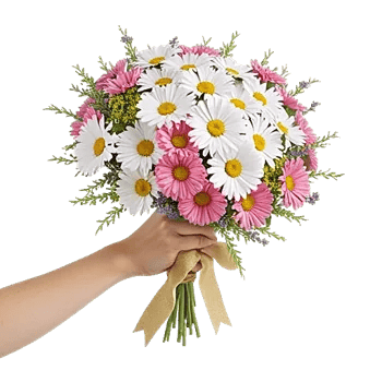 Coral Blossom Harmony