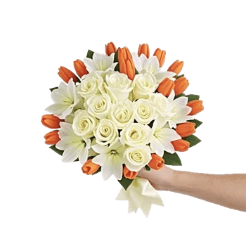 Ivory Garden Grace
