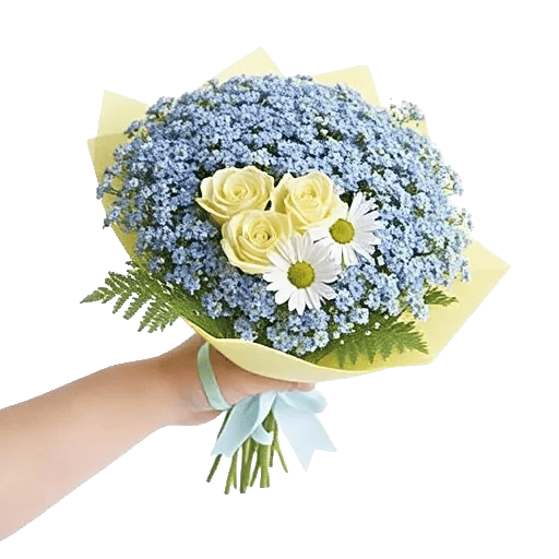 Blossom Petal Serenity