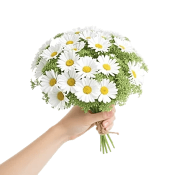 Delicate Petal Cascade