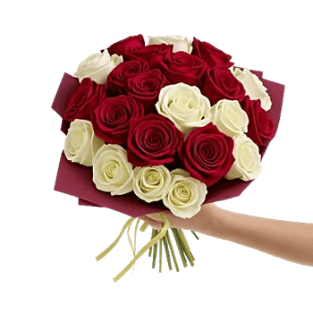 Crimson Rose Elegance