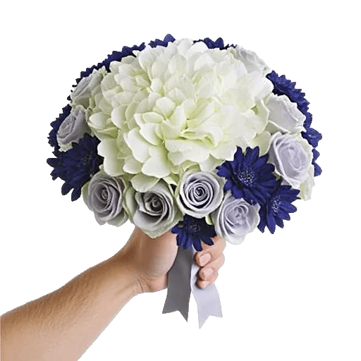 Serene Petal Harmony