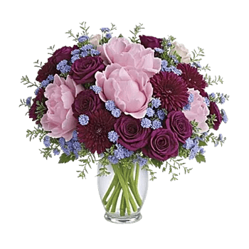 Petal Radiance Bliss