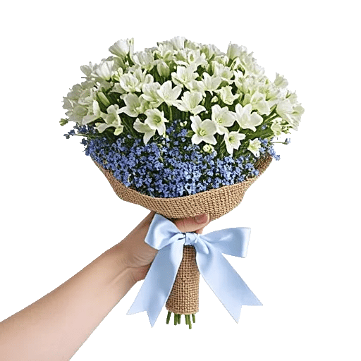 Blossom Petal Serenity