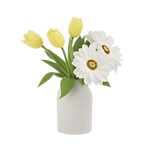 Velvet Tulip Display