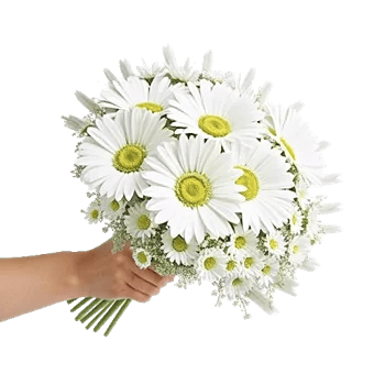 Petal Harmony Bliss