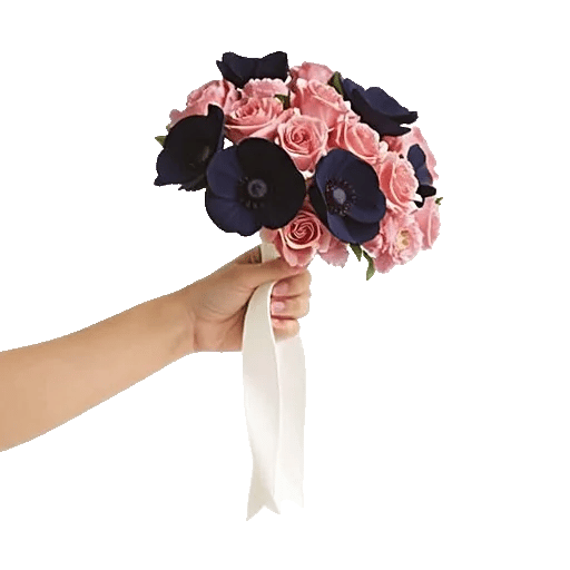 Blushing Rose Symphony