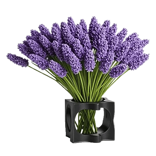 Lavender Bloom Grace