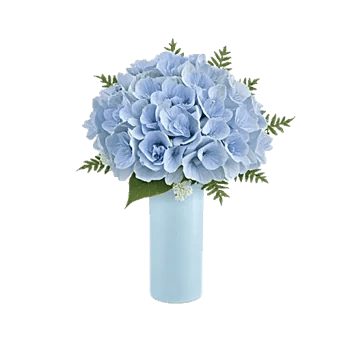 Sapphire Bloom Whisper