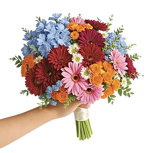 Blossom Petal Serenity