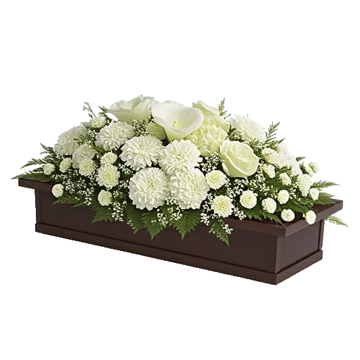 Elegant Calla Lilies