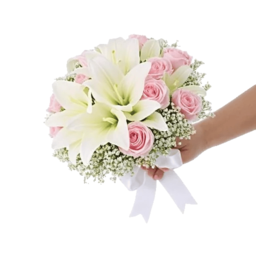 Ivory Blossom Radiance