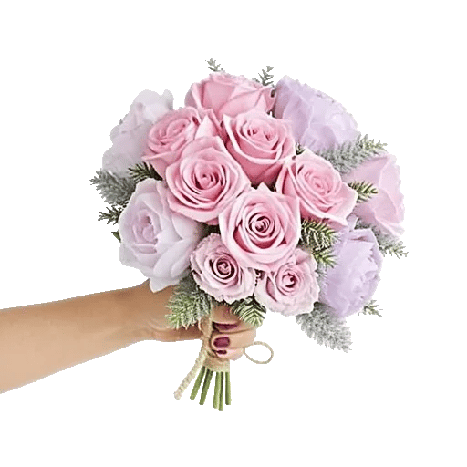 Pastel Pink Roses