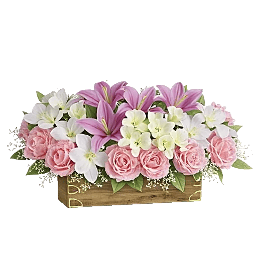 Graceful Lily Display