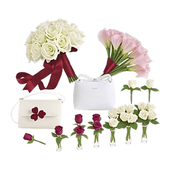 Elegant Calla Lilies