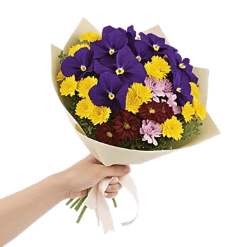 Blossom Petal Serenity