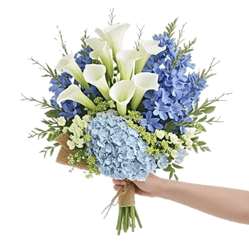 Elegant Calla Lilies