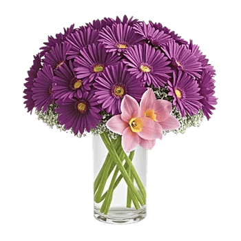 Delicate Petal Cascade