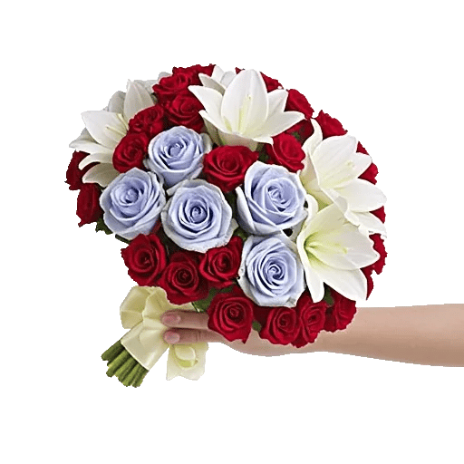 Blushing Rose Symphony