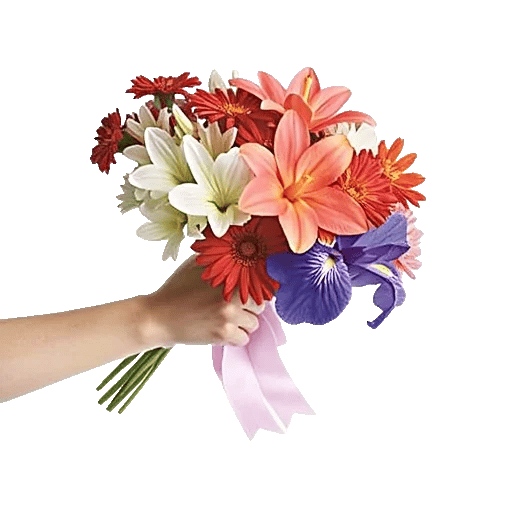 Blushing Rose Symphony