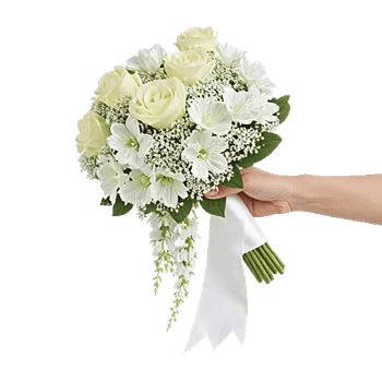 Delicate Petal Cascade