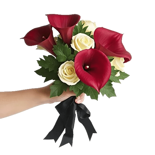 Elegant Calla Lilies