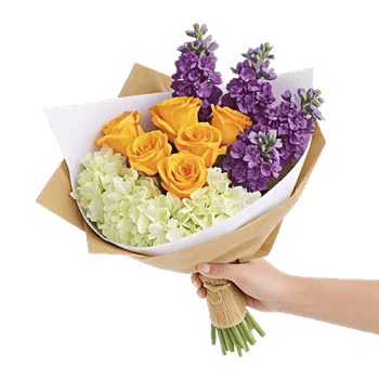 Petal Harmony Bliss