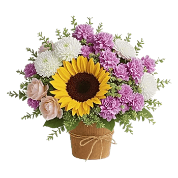 Amber Sunflower Glow