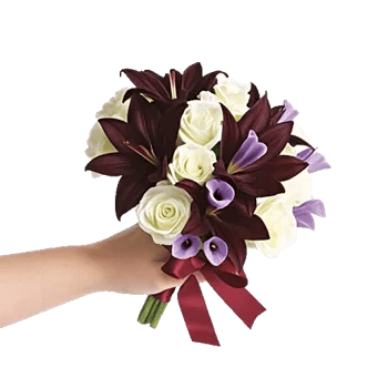 Elegant Calla Lilies