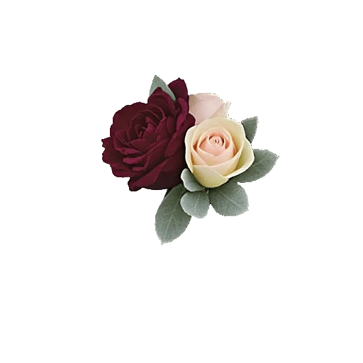 Delicate Petal Cascade